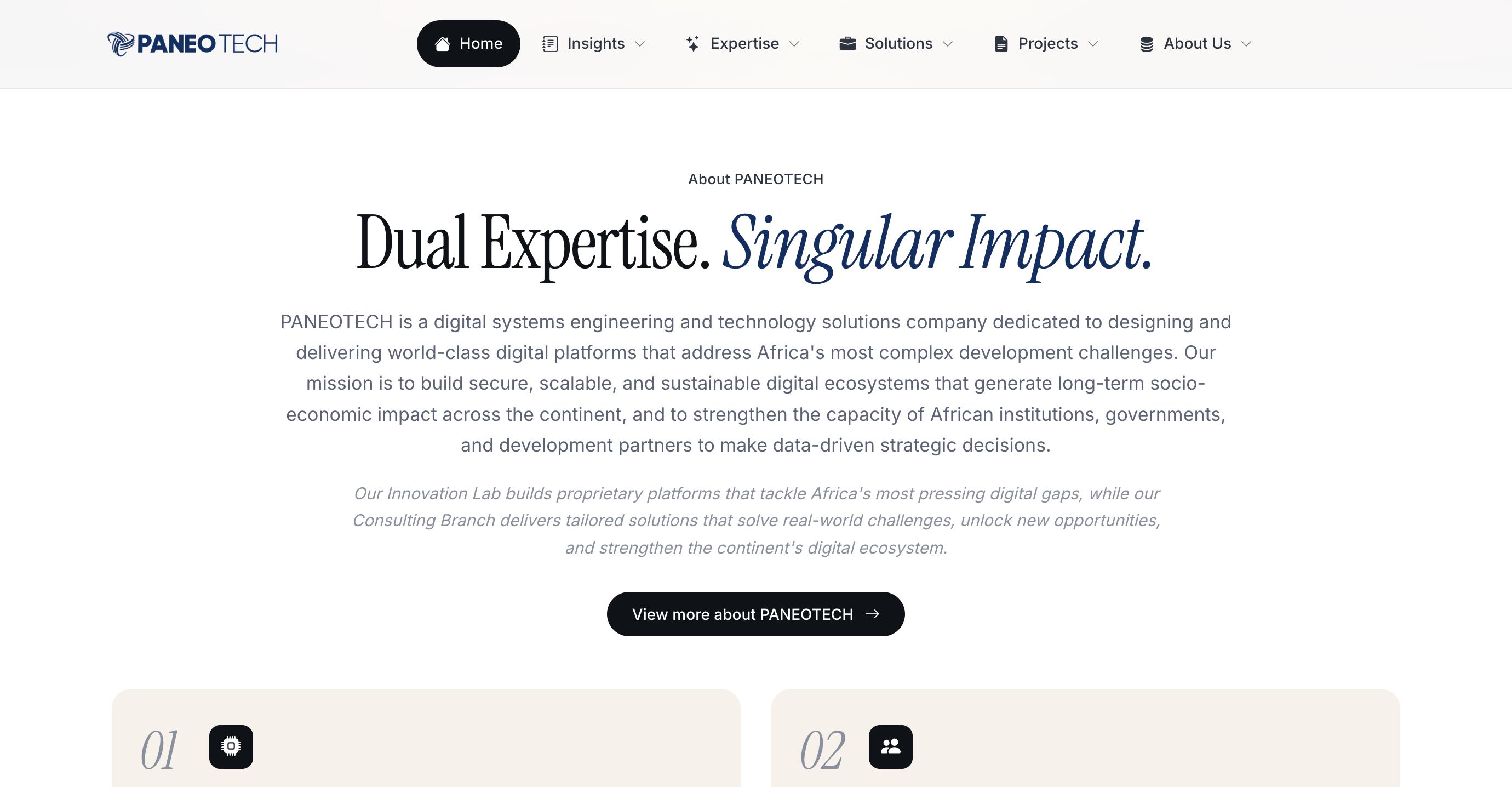 Capture fournie du site PANEOTECH : logo horizontal et Dual Expertise. Singular Impact.